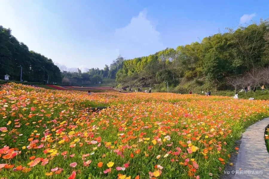 Ding Mountain Park