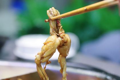 味之绝美蛙鱼头火锅(昭通一店)