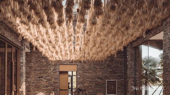 Zhuo‘er Town Peach Blossom