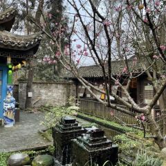 众人熙熙 User Photo