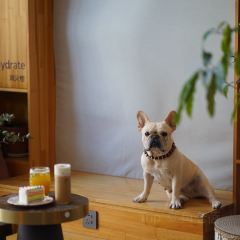 馥屿咖啡(天生桥店) 여행 사진