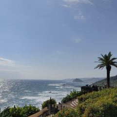 Michinoeki Phoenix User Photo