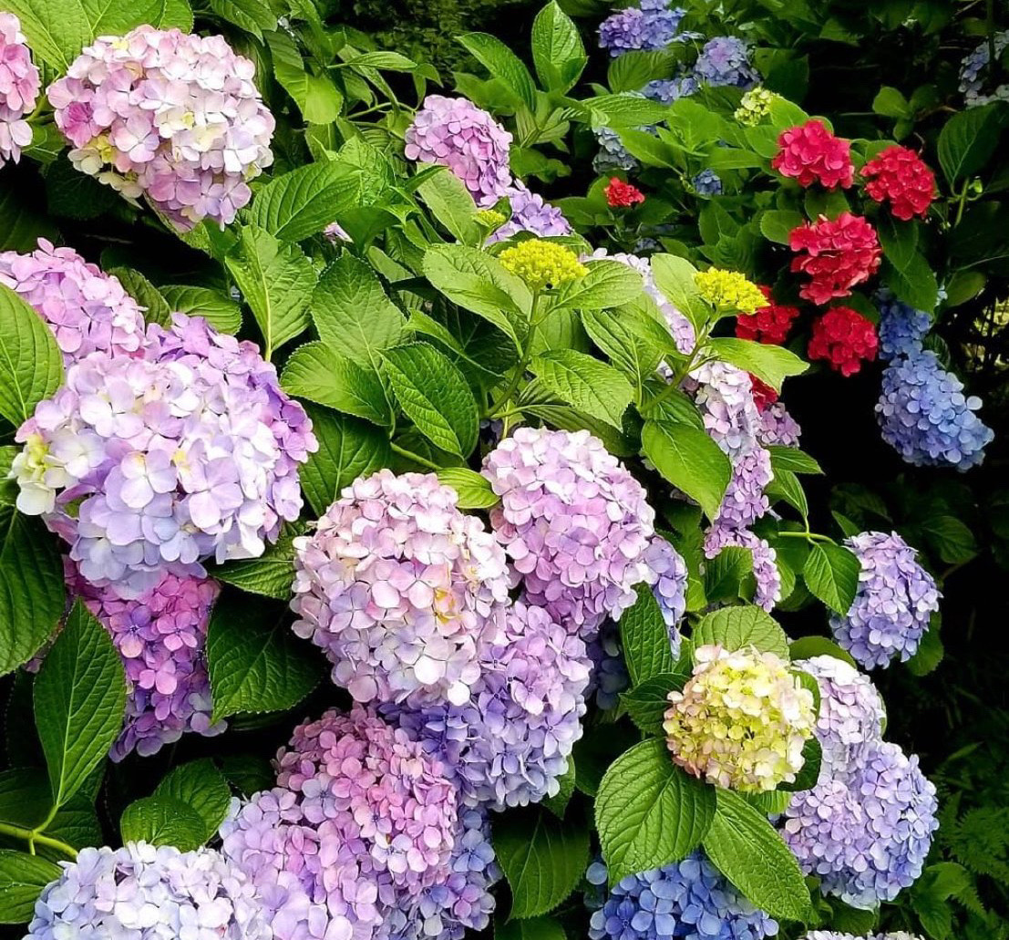 高幡不動尊金剛寺景點評價 高幡不動尊金剛寺門票 高幡不動尊金剛寺優惠 高幡不動尊金剛寺交通 地址 開放時間 高幡 不動尊金剛寺附近景點 酒店及美食 Trip Com