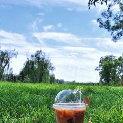 COSTA COFFEE(大湖花园天地店) User Photo