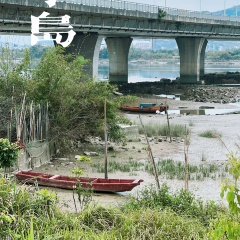 Longxiangdaolongjiangxiaoyuan User Photo