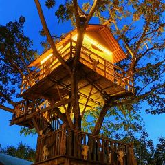 佤王宴(景洪分店) User Photo