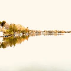 Fishbone By The Lake User Photo
