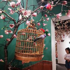 老俞家張用戶圖片