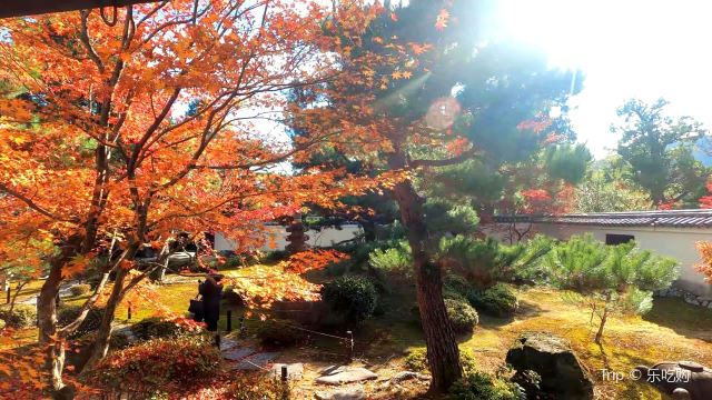 녹왕원