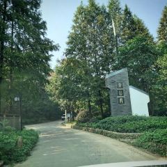 Qian Li Zou Dan Ji (Mogan Creek Valley Store) · Dao Xiang Restaurant User Photo