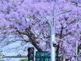 西昌时代广场