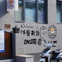 秋田犬咖啡屋·精酿啤酒馆 User Photo