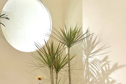 八零後BAKERY·蛋糕烘焙(八一路店)