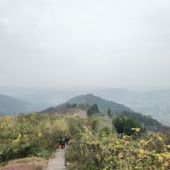 云崖兔酒楼 User Photo