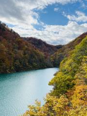 Tamagawa impounding dam