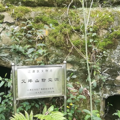 鐘大叔桂花烤羊用戶圖片