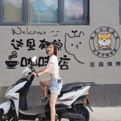 秋田犬咖啡屋·精酿啤酒馆 User Photo