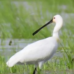 邻里印象 여행 사진