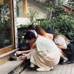 慈记外婆桥·小食店(山城巷店) User Photo