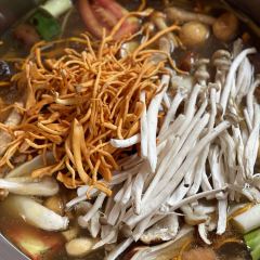 菌竹轩酒楼(海河天街店) User Photo