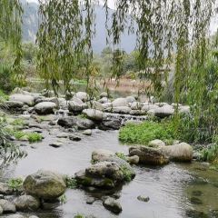 鱼知道乡村酒店 User Photo