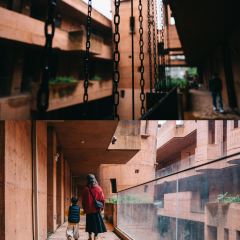Zhijianshudian User Photo