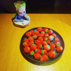 Dauber大白Cocktail&Whisky Bar鸡尾酒&威士忌吧 User Photo