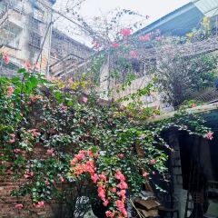 Yirga Town User Photo