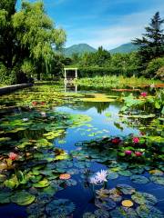 Shuisheng Botanical Garden