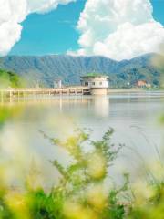 Xixia Reservoir