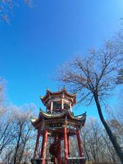Chengbei Park