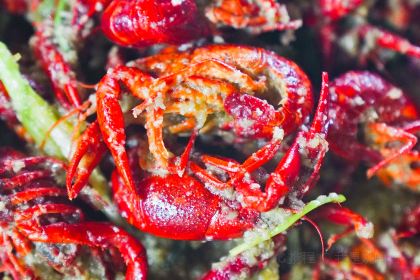 益松龙虾(桓裕广场店)