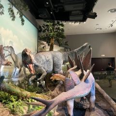 安吉自然博物院自然体验餐厅 User Photo
