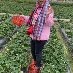 野趣園8號庭院張用戶圖片