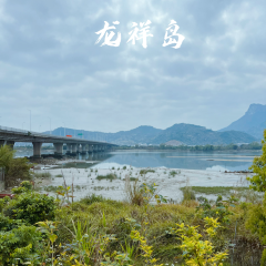 Longxiangdaolongjiangxiaoyuan User Photo