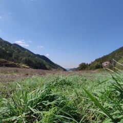 大别山小院子(大别山丽景风景区店) User Photo