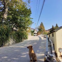 梅峰饭店 User Photo