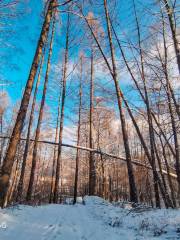 Xianweng Hill National Forest Park