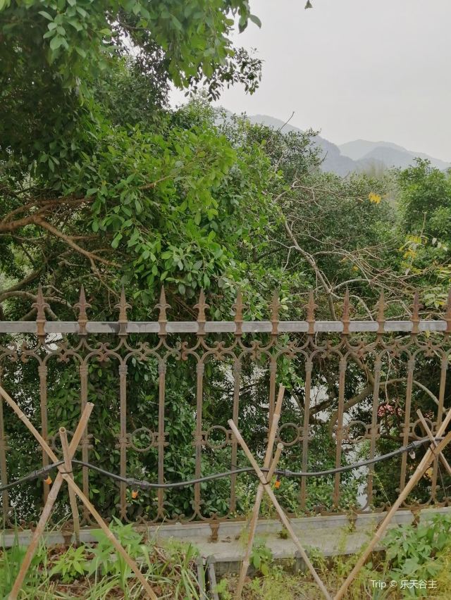 Luxianhu Scenic Area