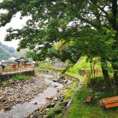 宋家河农庄 User Photo