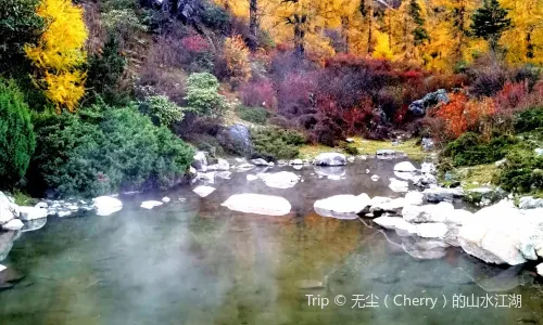타궁 초원