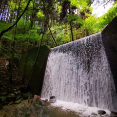 Dangoan User Photo