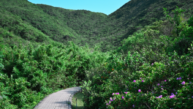 MacLehose Trail Section 3 (Starting Point)