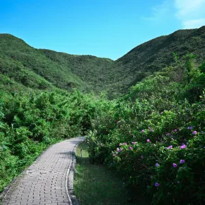 麥理浩徑第3段(起點)