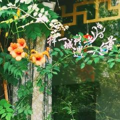 老俞家張用戶圖片