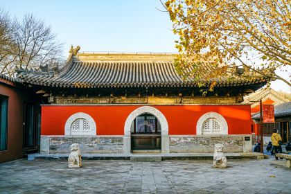 TRB Hutong