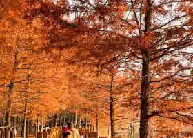 東湖山公園