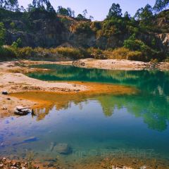 翠園農莊張用戶圖片