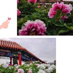 Caozhoumudanyuanhong Soup Lamb Restaurant User Photo