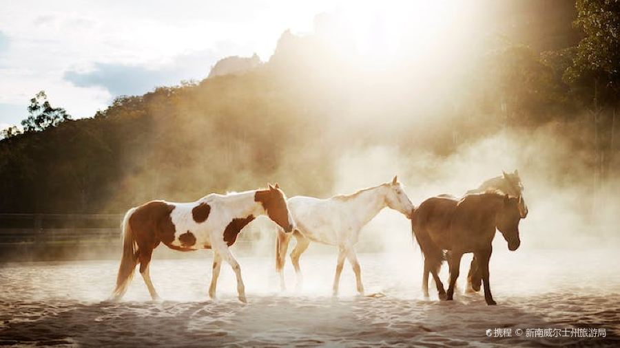 Frenchy's Cafe Mosman